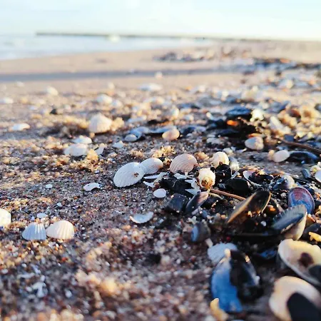 Letniskowy W Trzesaczu