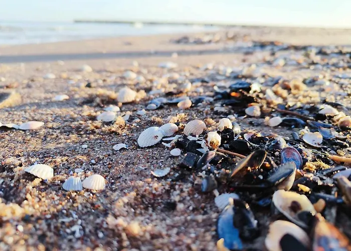 Letniskowy W Trzesaczu